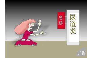 尿道炎会影响孕育吗