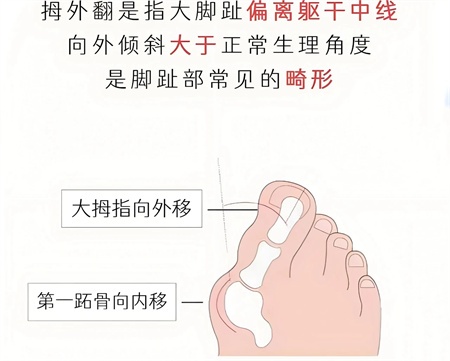 微信图片_20240910104710.jpg